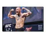 居梦坞 UFC嘴炮康纳麦格雷戈海报综合格斗术墙贴海报MMA巨星周边装饰 NB19963 50*30cm