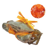 蟹爱【活鲜】  鲜活青蟹三门青蟹红膏蟹母蟹海蟹 单只约450克 盒装 三只装