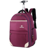 威盛达拉杆书包双肩背大容量旅行包时尚商务出行可登机出差拉杆包 紫色 19英寸 可登机