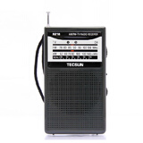 德生（Tecsun） R218调频调幅电视伴音半导体收音机 灰色 标配