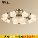 格蕴美式吊灯简约大气客厅灯欧式田园古铜餐厅卧室灯北欧复古灯具 青古铜色10头*配三色光全谱护眼