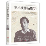 王小波作品集.杂文卷