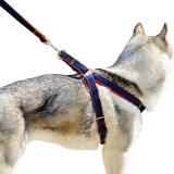 康贝尼狗牵引绳狗绳中大型犬胸背带狗链金毛边牧哈士奇遛狗绳子宠物用品 牛仔加大号/建议40-75斤内