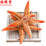 福曦堂 海星干海星 海南海星干货 海燕 海南干海星  可做泡酒料