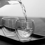 karphome双层玻璃杯耐热耐高温水杯牛奶杯果汁杯茶杯家用办公杯套装250ml 250ML2只装