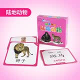 冯氏早教有声有图识字卡片幼儿童认字看图早教3-6岁全脑记忆卡 陆地动物/双面覆膜