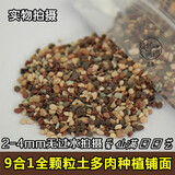 9合1全颗粒多肉用营养土种植铺面混合透气高排水快不烂根 全颗粒土（3-6mm）/500g