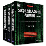 安全攻防入门 信息安全原理与实践 深入浅出密码学 SQL注入攻击与防御(第2版)（套装共3册）