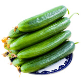 芬果时光 新鲜水果小黄瓜无刺黄瓜 约4.6-5斤 新鲜蔬菜