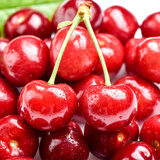 鲜惠源大连美早大樱桃车厘子 精选大果车厘子 大樱桃生鲜送礼水果 精选XL级2斤（净重1.8斤）