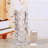 BingYi大号富贵竹大方口花器透明水晶品质玻璃花瓶 1230宝石款