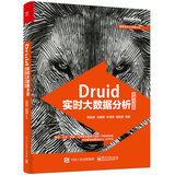 Druid实时大数据分析原理与实践(博文视点出品)