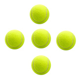 WITESS 威特斯初级训练比赛耐打网球 不带线网球5只装