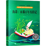 纽伯瑞儿童文学奖获奖作品 海蒂:木偶百年历险记