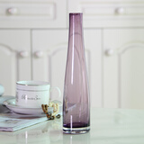 爱泽宝现代田园风格时尚细口玻璃花瓶小花插彩色透明客厅简约餐桌摆件 紫色花瓶