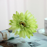 爱泽宝现代田园风格时尚细口玻璃花瓶小花插彩色透明客厅简约餐桌摆件 绿色非洲菊