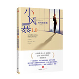 小风暴1.0 时间的玫瑰 乔欣 胡一天主演 原著小说 肖茉莉著 中信出版社 小说