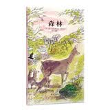 【信谊】森林（3-8岁）亲近自然童书绘本 