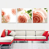 佳彩天颜 加厚框diy数字油画 三拼三联手绘风景植物花卉装饰  创意礼品 P041玫瑰人生 50*50*3二代彩色画板加厚