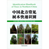 中国北方常见树木快速识别