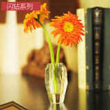 恒诚（HENG CHENG）水晶玻璃小花瓶迷你绿萝水培小花瓶办公桌餐桌装饰小清新花瓶摆件 闪钻小花瓶经典款 6*6*10.5 厘米