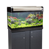 博宇（BOYU）鱼缸 水族箱 热弯玻璃 40宽 上过滤家用客厅龙鱼缸养水草金鱼过滤 EA-80香槟鱼缸整套(80*40*123.8)