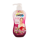 菲玛斯Famous（进口）内衣洗衣液洗大姨妈男女内衣裤专用清洁除菌 454ml 1瓶