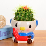 若绿金琥仙人球盆栽套装办公室内桌面绿植彩色多肉植物源头直发包邮 金琥 L花盆