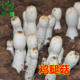 花e流 食用菌棒菌种菌包平菇食用蘑菇农产品蘑菇菌种植多肉植物阳台 鸡腿菇袋装
