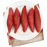 福建农特产 六鳌红薯  地瓜  净重1.5kg 单果重量50g-150g  新鲜蔬菜健康轻食