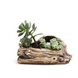 欧林泽 陶瓷花盆 陶泥多肉植物绿植花器 创意桌面仿老根根雕生态树桩陶盆 中式个性 木桩 款式2 浅色/长19.5*宽10*高9.5厘米