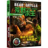 荒野求生少年生存小说系列：猛虎火山的生死逃亡
