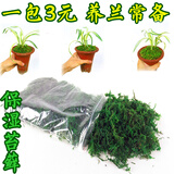 劉閣蘭花兰花专用保湿水苔 美观绿化苔藓 养兰花苗需备水草 绿植花卉盆景 1包3块，需要几包拍几件