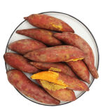 六鳌新鲜沙地红薯 红心地瓜 甜番薯 儿童蜜薯5斤