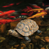 大傅 仿真动物乌龟摆件长寿龟 别墅花园装饰品庭院池塘摆设树脂雕塑 大号乌龟摆件