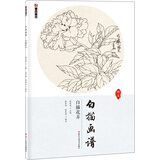 墨点美术 白描画谱白描花卉绘画工笔画初学者白描初学者工笔白描花卉技法 从入门到精通