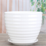 裕轩堂花盆陶瓷梅兰创意特大号简约绿萝吊兰阳台室内多肉托盆家用带托盘 84015-白 特大直径21左右