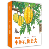 小种子，快长大（水果篇）  精选益智游戏丛书 3-6岁（启发出品）