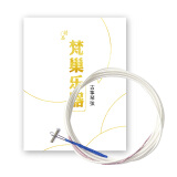 梵巢 FLOFAIR 乐器配件 标准 古筝配件 尼龙缠绕琴弦 1-21全套 通用 单根琴弦古筝1号弦 1号琴弦