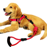 宠物圈（PETCIRCLE）狗狗牵引绳狗链子项圈泰迪金毛小型中大型幼犬牵狗绳子宠物用品 玫瑰红+胸背 L码 建议30-60斤