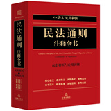 中华人民共和国民法通则注释全书：配套解析与应用实例