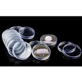 昊藏天下Z 钱币收藏盒纪念币保护盒硬币小圆盒 空盒收藏桶 100枚合售30mm小圆盒