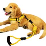 宠物圈（PETCIRCLE）狗狗牵引绳狗链子项圈泰迪金毛小型中大型幼犬牵狗绳子宠物用品  香槟黄+胸背 L码 建议30-60斤