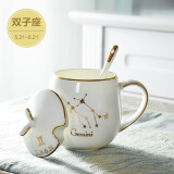 瓷秀源（cixiuyuan） 12星座马克杯子骨瓷礼盒 带盖勺精致咖啡牛奶杯子情侣水杯 双子座