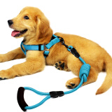 宠物圈（PETCIRCLE）狗狗牵引绳狗链子项圈泰迪金毛小型中大型幼犬牵狗绳子宠物用品 宝石蓝+胸背 M码 建议13-30斤