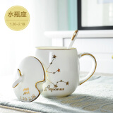 瓷秀源（cixiuyuan） 12星座马克杯子骨瓷礼盒 带盖勺精致咖啡牛奶杯子情侣水杯 水瓶座