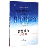 智慧城市大数据