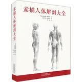 素描人体解剖大全