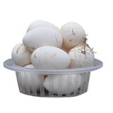 顺丰 鲜鹅蛋 农家散养土鹅蛋生鹅蛋 单个100-140g 24枚 2.4kg 起