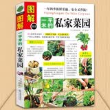 图解一平米的私家菜园 蔬菜种植技术室内室外西红柿黄瓜茄子青菜辣椒草莓阳台露台阳台庭院顶楼